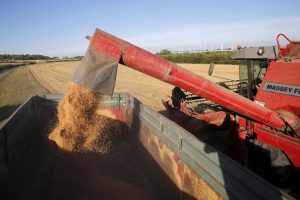 Read more about the article Экспортная пошлина на пшеницу из РФ со 2 марта снизится до $88,2 за тонну От IFX