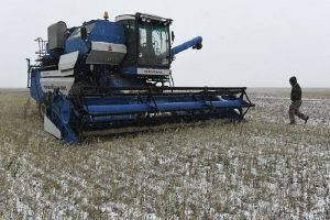Read more about the article Экспортная пошлина на пшеницу из РФ с 11 марта снизится до $86,9 за тонну От IFX