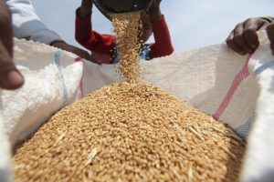 Read more about the article Экспортная пошлина на пшеницу из РФ со 2 марта снижена до $88,2 От IFX