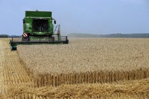 Read more about the article Экспортная пошлина на пшеницу из РФ с 20 апреля повысится до $110,7 за тонну От IFX