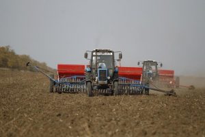 Read more about the article ИКАР повысил прогноз производства пшеницы в РФ в этом году до 95 млн тонн От IFX