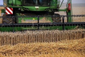 Read more about the article С 11 января экспортная пошлина на пшеницу из РФ повысится на 14,5% От IFX