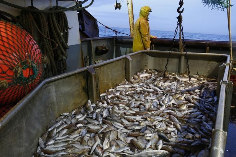 Акции «Инарктики» упали на усилении запрета США на ввоз российской рыбы