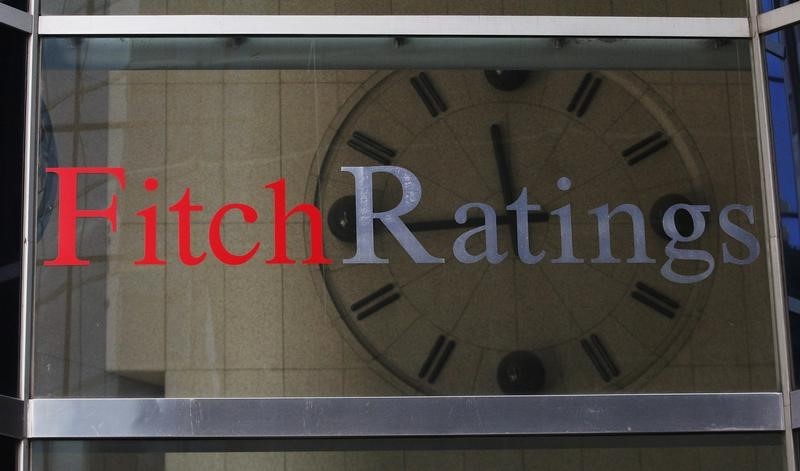 Текущий год стал одним из худших по количеству понижений рейтингов стран EM - Fitch