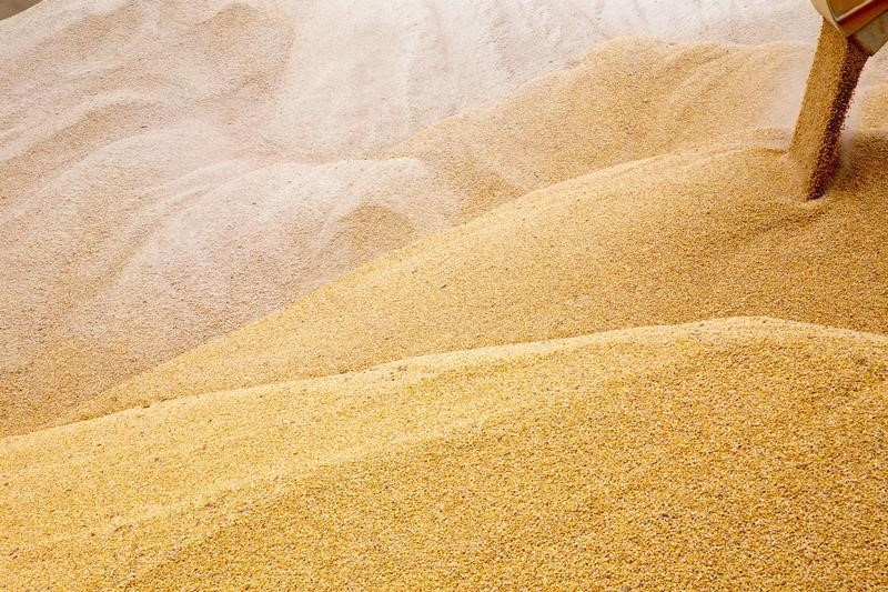 Урожай пшеницы в 2022 году может стать рекордным - ФАО