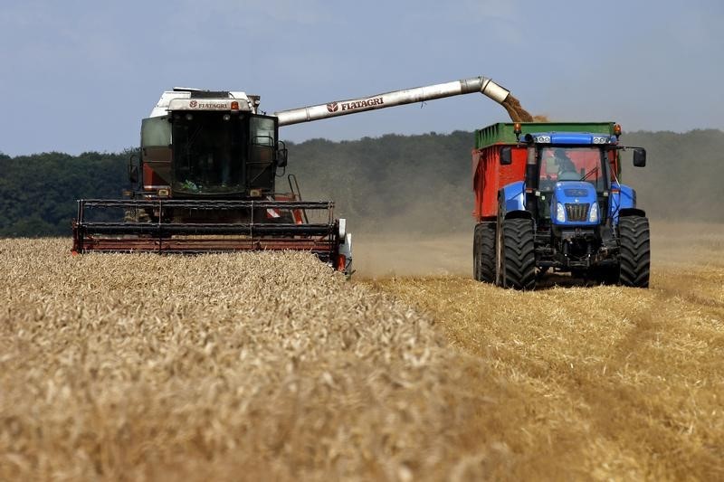 Экспортная пошлина на пшеницу из РФ с 28 декабря повысится почти на 25%