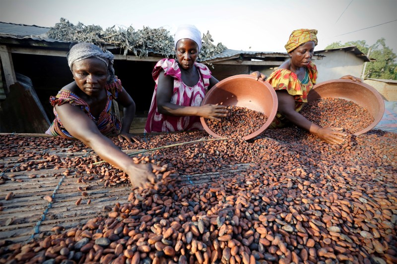 Цены на какао на бирже взлетели до нового исторического рекорда