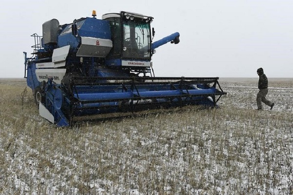 Экспорт пшеницы Россией в июле упал на 10,5%