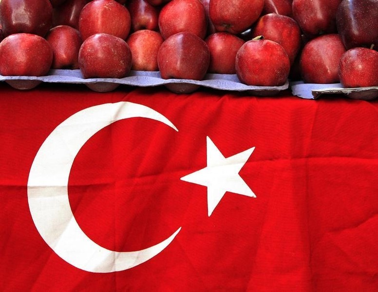 Турецкая экономика избежала рецессии