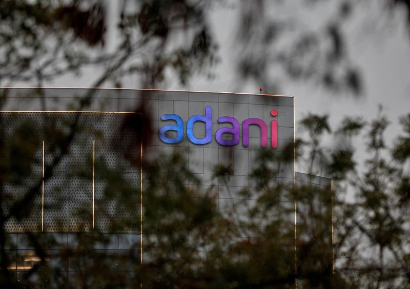 Акции Adani упали после новых обвинений в адрес компании