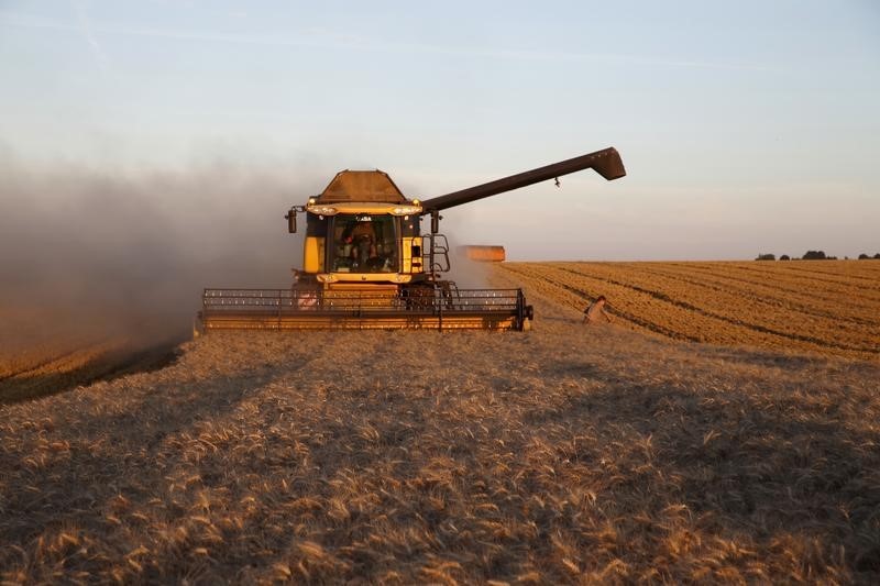 Минсельхоз США вновь оставил неизменными прогнозы производства и экспорта пшеницы для РФ